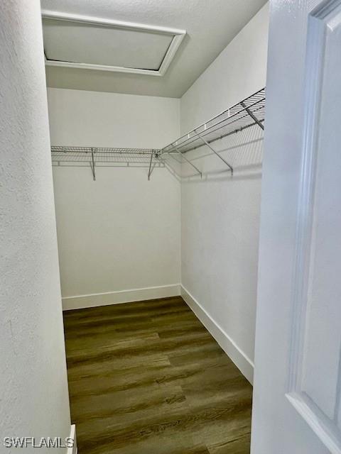 spacious closet with hardwood / wood-style floors