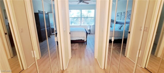 corridor featuring light hardwood / wood-style flooring