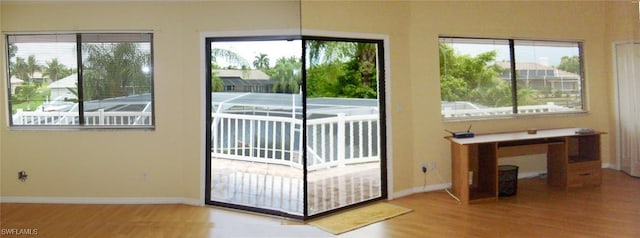 entryway with wood-type flooring