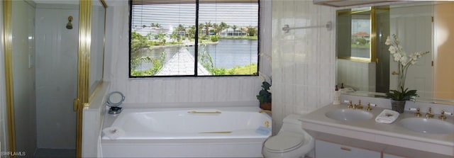 bathroom featuring vanity, toilet, and a bath