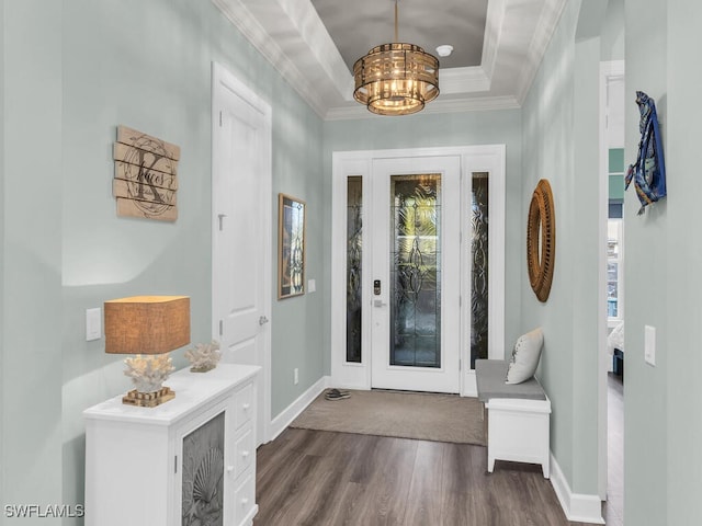 foyer with ornamental molding, dark wood-style flooring, plenty of natural light, and a raised ceiling