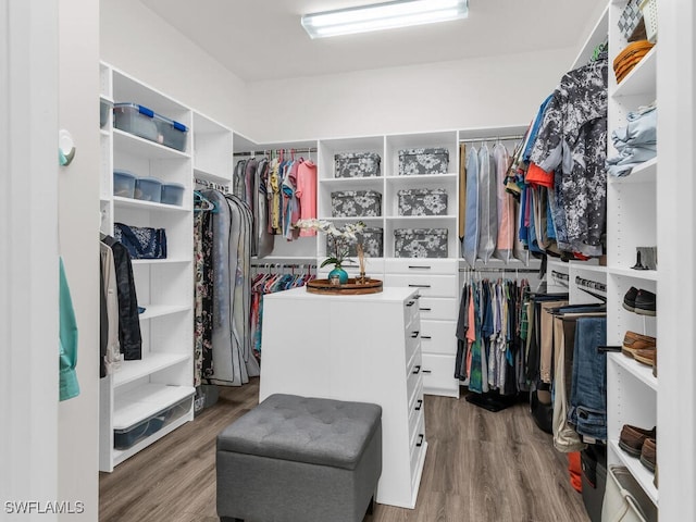 spacious closet featuring wood finished floors