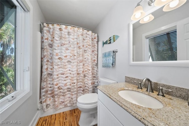 bathroom featuring a shower with shower curtain, wood-type flooring, vanity, and toilet