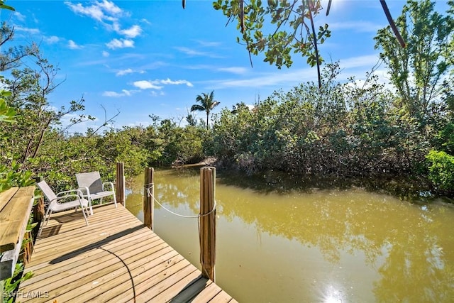 view of dock with a water view