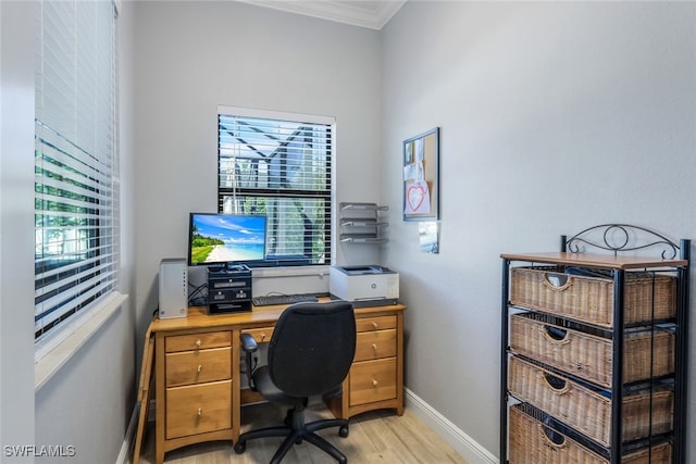 office with ornamental molding and light wood-type flooring