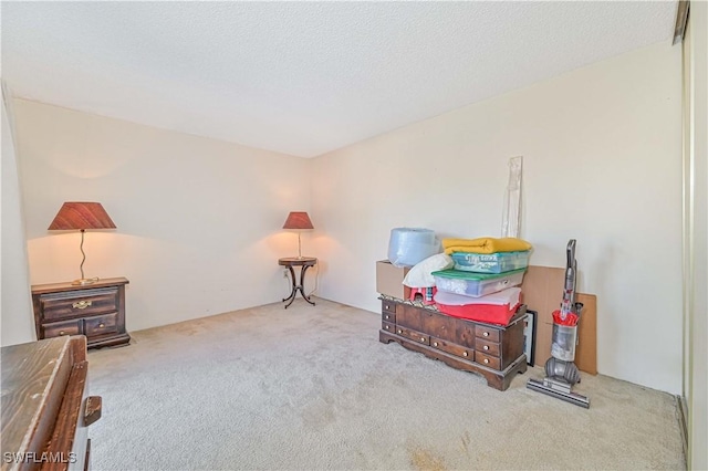 interior space with light colored carpet and a textured ceiling