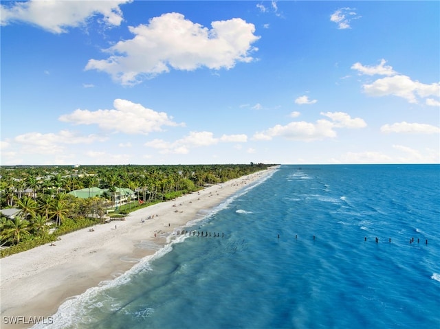 bird's eye view with a view of the beach and a water view