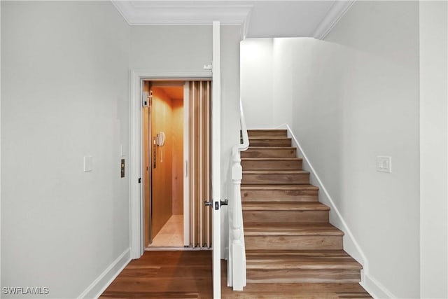 staircase featuring hardwood / wood-style flooring and crown molding