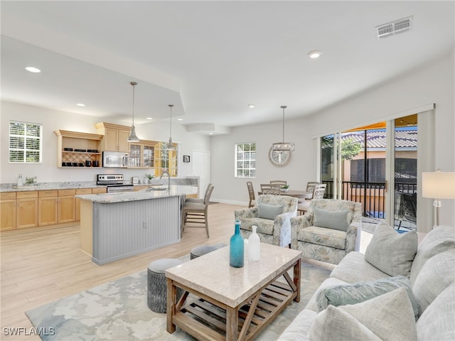 living room with light hardwood / wood-style floors and sink