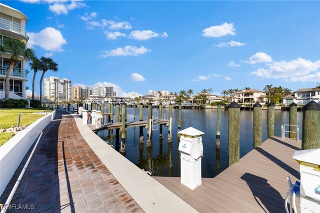 dock area with a water view