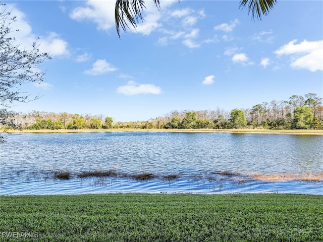 property view of water