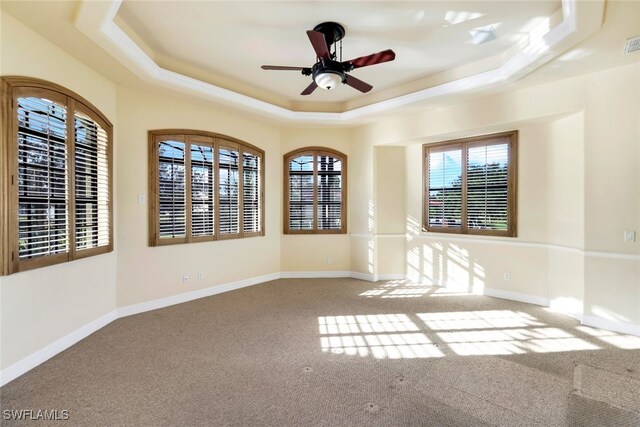 spare room with a raised ceiling, a wealth of natural light, and ceiling fan