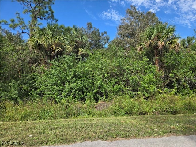 38XX 30th Ave SE, Naples FL, 34117 land for sale