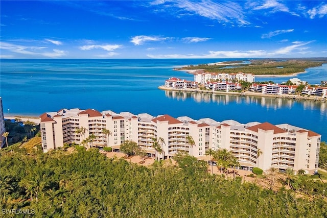 aerial view with a water view