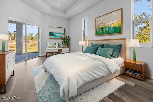 bedroom with light wood-type flooring, access to exterior, multiple windows, and a raised ceiling