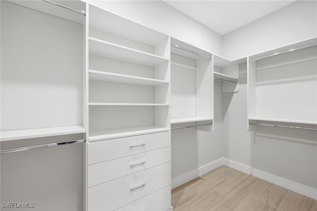 walk in closet featuring light hardwood / wood-style floors