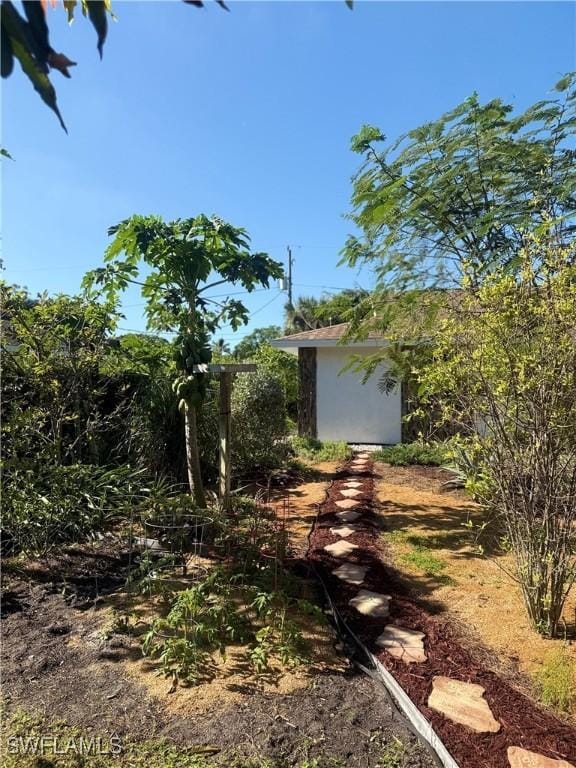 view of yard featuring a storage shed