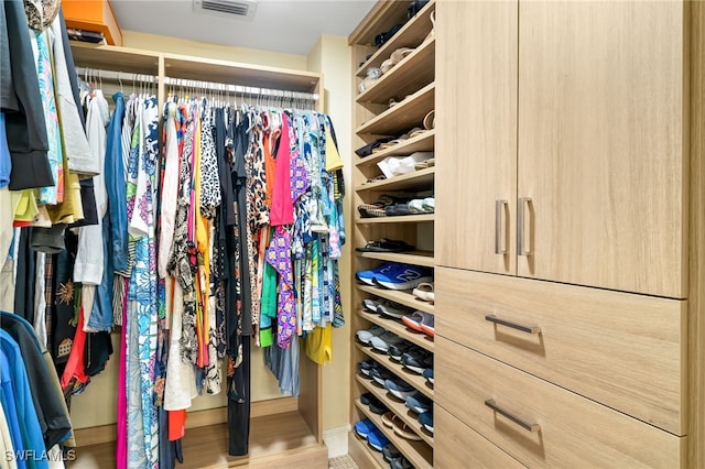 view of walk in closet