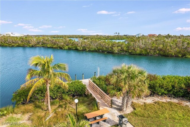 view of water feature with a dock