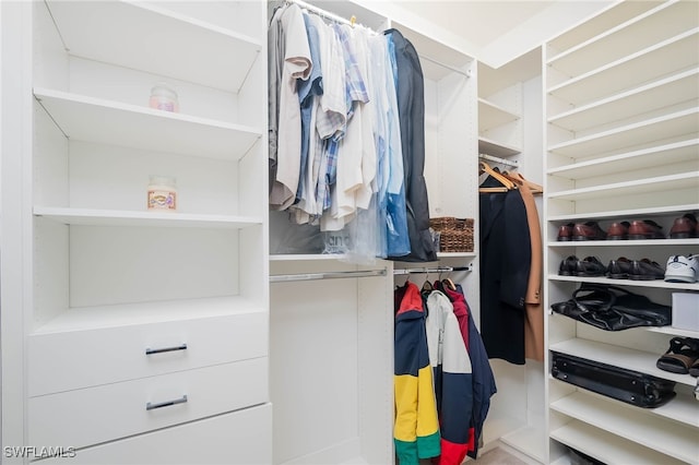 view of spacious closet