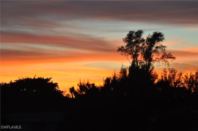 view of nature at dusk