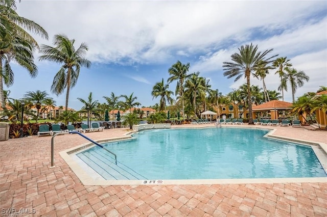 view of swimming pool featuring a patio