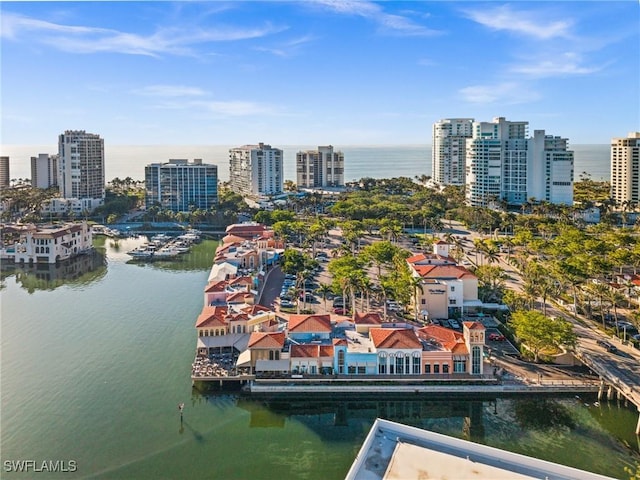 bird's eye view featuring a water view