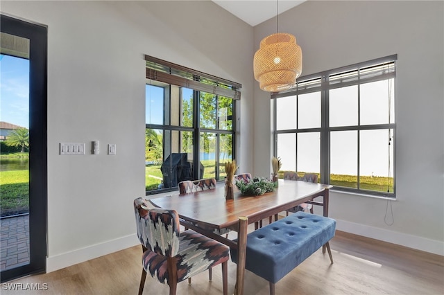 dining room featuring a healthy amount of sunlight and light hardwood / wood-style flooring