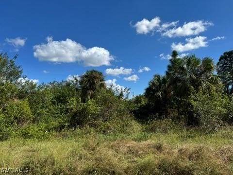 761 Gallo Ave S, Lehigh Acres FL, 33974 land for sale