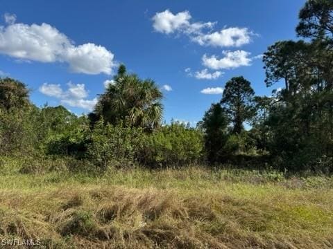 765 Gallo Ave S, Lehigh Acres FL, 33974 land for sale