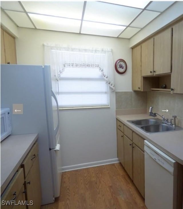 kitchen with wood-type flooring, white appliances, a drop ceiling, and sink