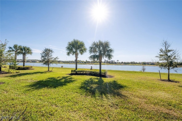 view of yard with a water view