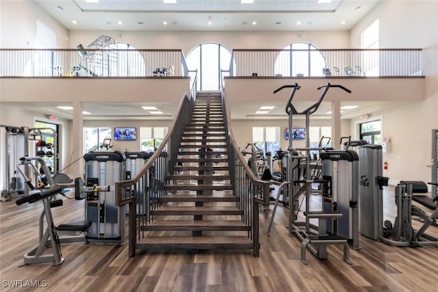 exercise room featuring a wealth of natural light, a high ceiling, and wood finished floors