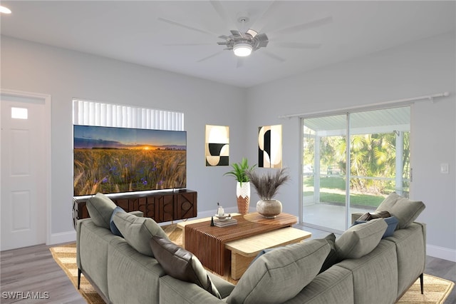 living room with ceiling fan and light hardwood / wood-style flooring