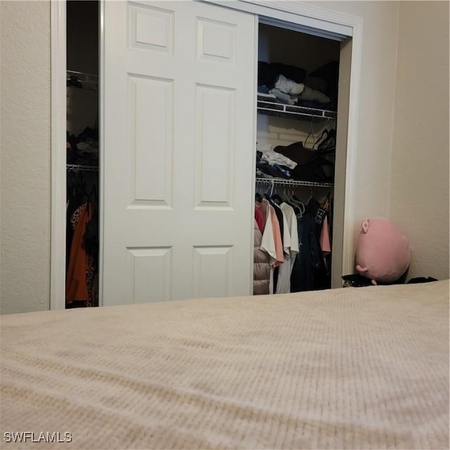 bedroom featuring a spacious closet and a closet