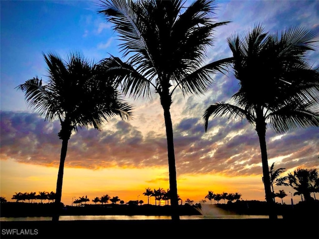 nature at dusk with a water view