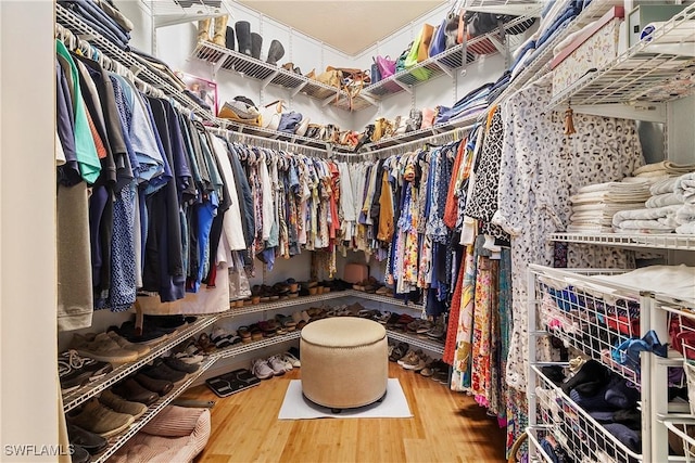 spacious closet featuring hardwood / wood-style flooring