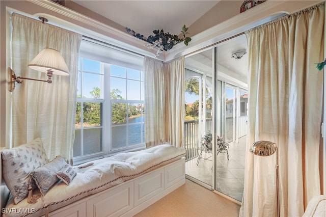 10801 Crooked River Rd Unit 203, Estero, FL 34135 - interior space featuring a wealth of natural light