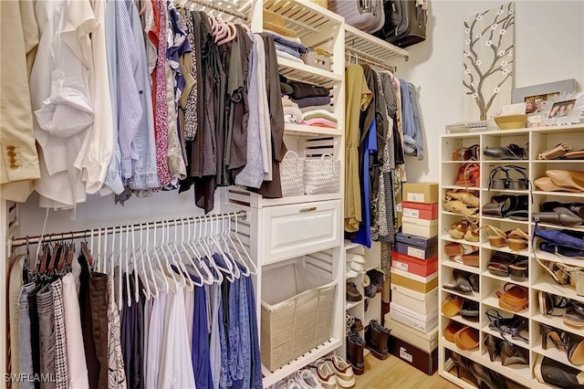 walk in closet featuring hardwood / wood-style floors