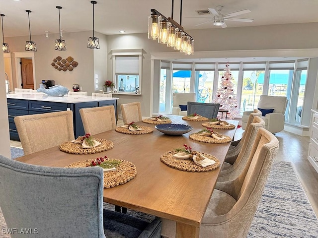 dining room with a wealth of natural light, visible vents, ceiling fan, and wood finished floors