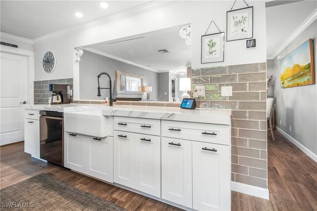 kitchen with decorative backsplash, light stone countertops, white cabinetry, and dark wood-type flooring