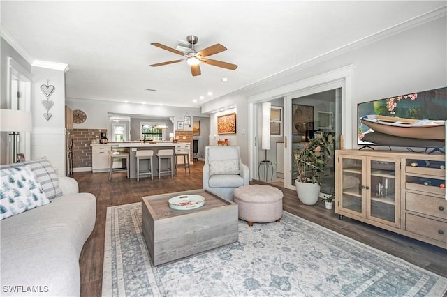 living room featuring ceiling fan, crown molding, and dark wood-type flooring