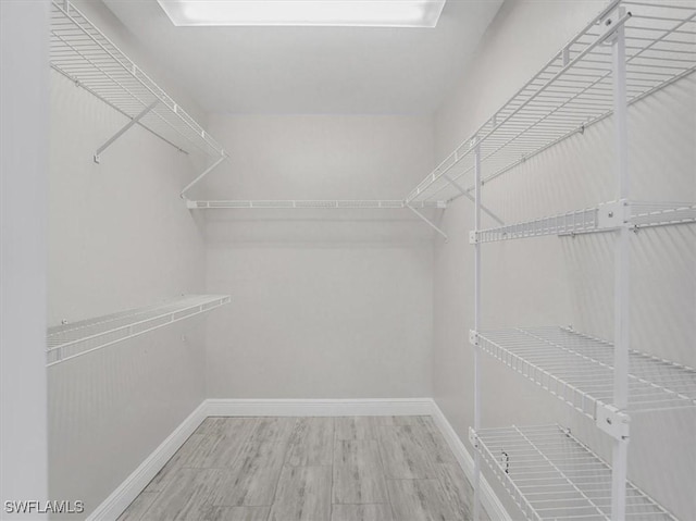 walk in closet featuring wood-type flooring