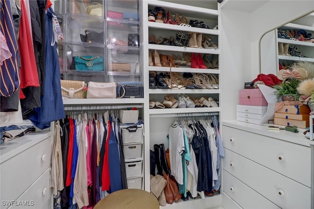 view of spacious closet