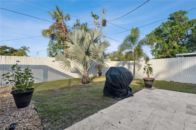 view of yard featuring a patio area