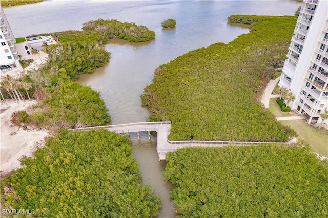 bird's eye view with a water view