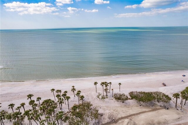 water view featuring a beach view