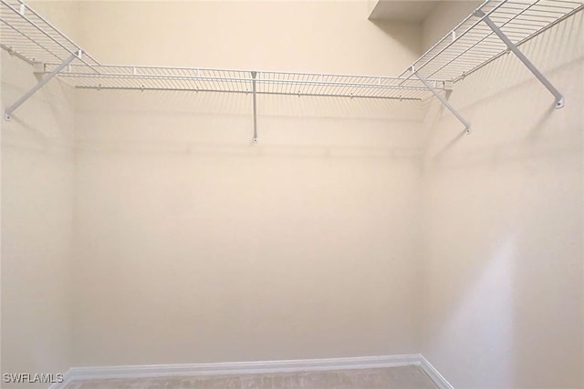 view of walk in closet