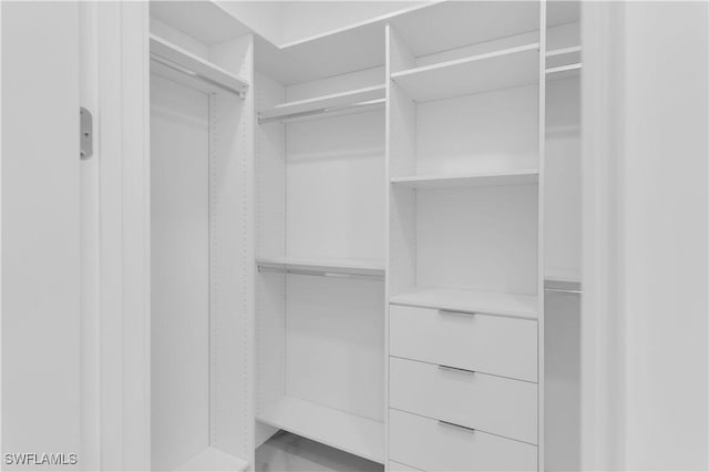 view of walk in closet