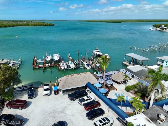 drone / aerial view with a water view